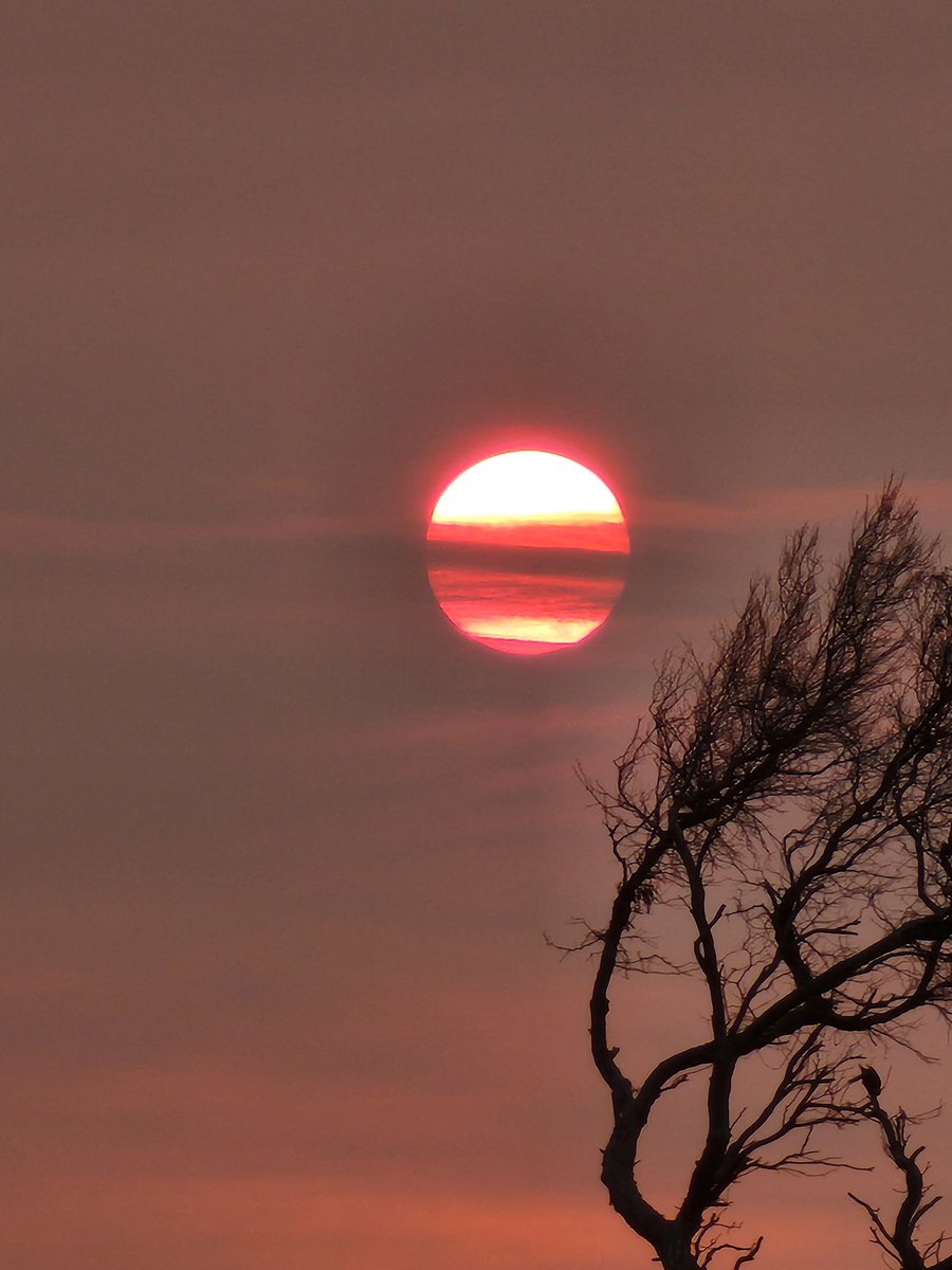 lainieaquietoz's tweet photo. Down at a place on the south coast of WA Windy Harbour. No wind tonight but there is a fire in the area and this is the 5pm sun. Looks stunning but a bit eerie #fire #Sunset_Sky https://t.co/DMpIr67cou
