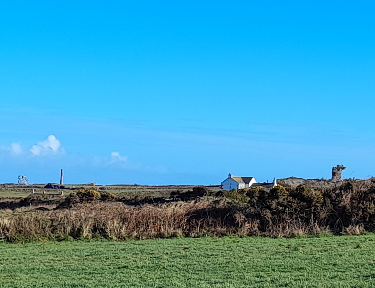 gnome_alice's tweet photo. Glorious for our morning walk.
From #Boswedden to #Boscean Count House with the chimneys of #Botallack Count House just visible further left.
Over #Kenidjack Head to the sea.
From #PednAnDrea towards #Kenython and #CarnKenidjack framed by a painterly sky.
#Lannust
#Kernow https://t.co/Hp5m5BORgc