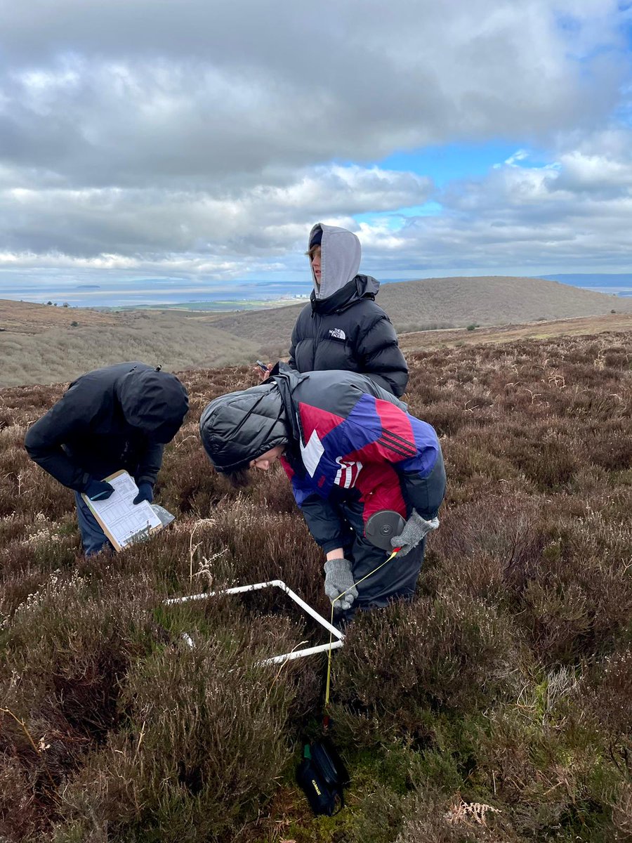 KewHouseScience's tweet photo. Year 12 biologists record abiotic factors (wind speed, temperate and humidity) and measure biotic factors (species richness and plant height) in the field! #KewHouseSchool #KewHouseScience #alevelbiology @KewHouseSixth https://t.co/YNsdOoKwcc