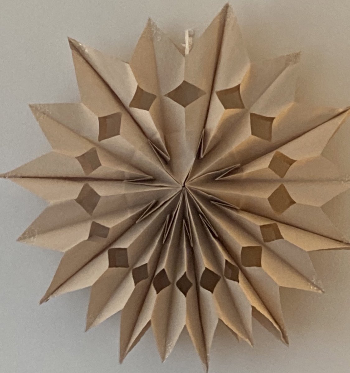 CJ STEMM tweet media