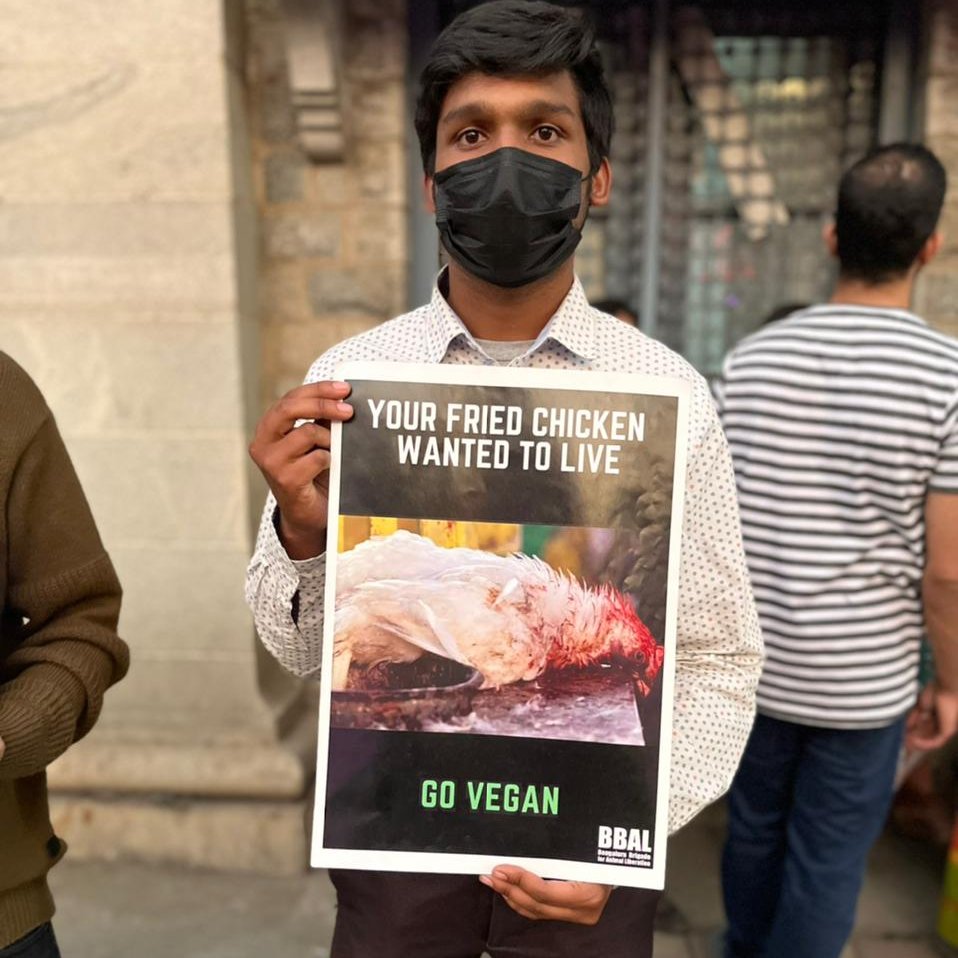 VeganIndiaMovt's tweet photo. Chickens are raised in overcrowded filthy sheds. Bred to grow unnaturally fast, they endure chronic pain,suffer heart attacks &amp; even organ failures.
They are carried upside down to meat shops &amp; cut open at the throat while being conscious. Don't be reason for their pain.#GoVegan https://t.co/MnrTipFAoP