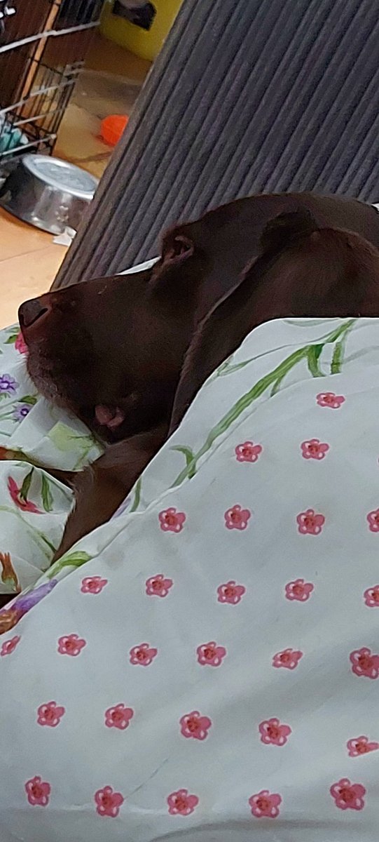 AndTorran's tweet image. 