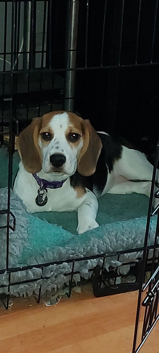 AndTorran's tweet image. 