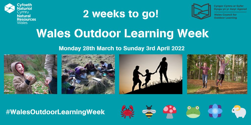 📢 2 weeks to go!

#WalesOutdoorLearningWeek: 28th of March to the 3rd April 2022. 

Join the celebration as an educator, parent or learner and get outdoors.  

How you will celebrate our biggest and best classroom, the natural environment of Wales? 🌳🌊

bit.ly/3MK3iEa
