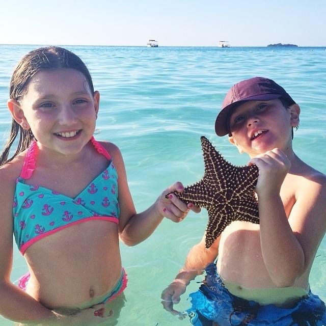 Michelle Risi tweet media