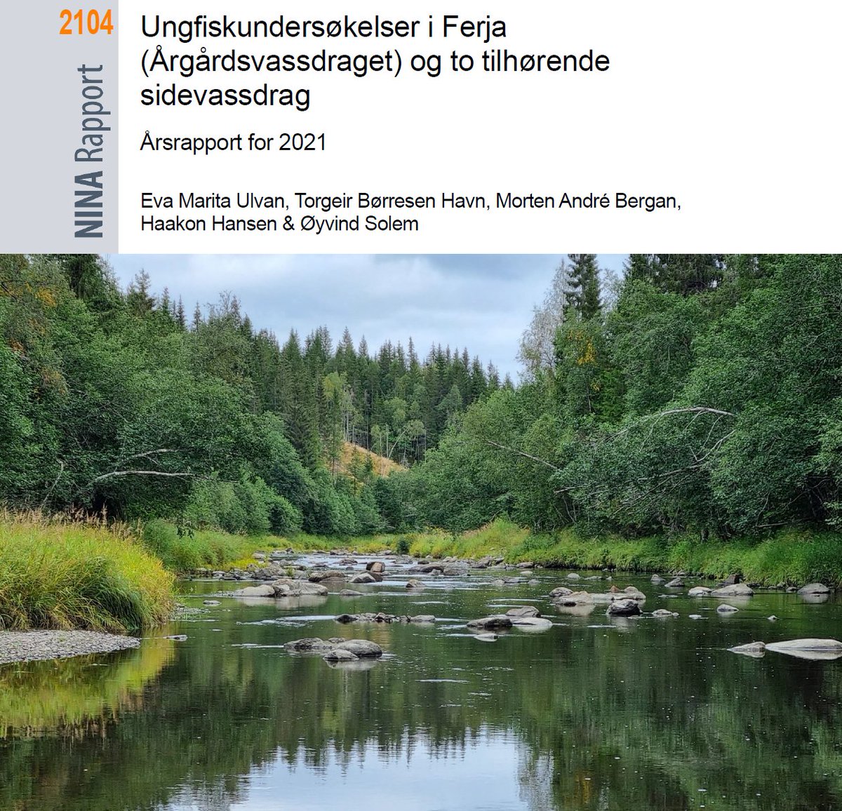 NINAforskning's tweet photo. Ny rapport: Ungfiskundersøkelser i Ferja (Årgårdsvassdraget) og to tilhørende sidevassdrag. #Ferja #Årgårdsvassdraget #laks #sjøørret https://t.co/HbtdcwYrNc https://t.co/fISjNcwid7