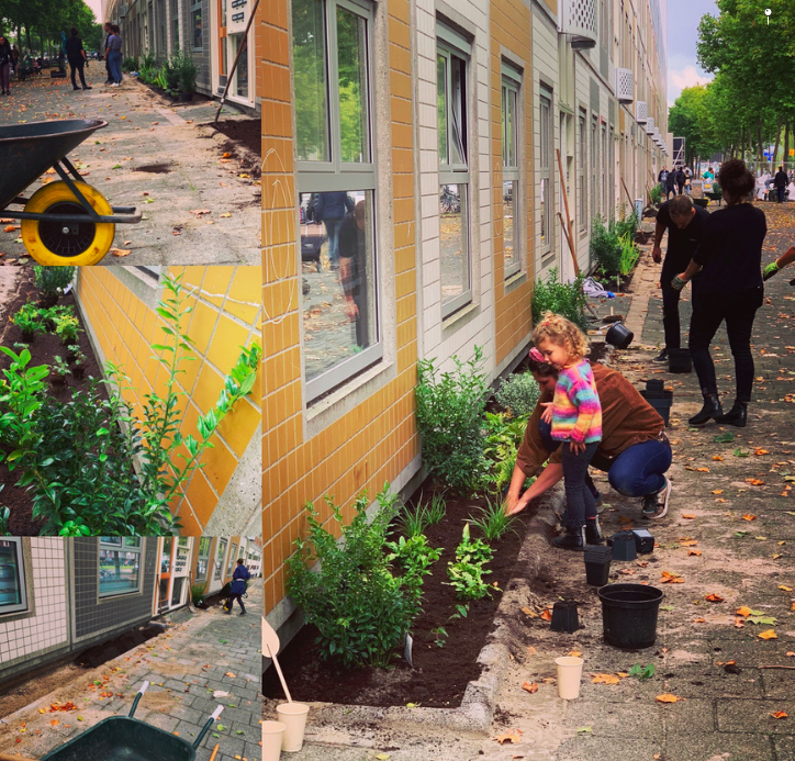 DesireeScheid's tweet photo. Stem in Rotterdam in je eigen wijk voor de wijkraad. Ik zet me graag nóg vier jaar in voor #wijkraadentrepotnoordereiland #groenbijiedereenomdehoek #wijkaanzet #duurzaamensociaal  #rotterdaminclusief #GR2022 #WR2022 #rotterdam https://t.co/cpRUNT3kJ7
