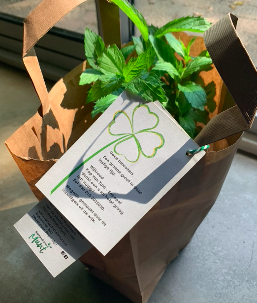 DesireeScheid's tweet photo. Stem in Rotterdam in je eigen wijk voor de wijkraad. Ik zet me graag nóg vier jaar in voor #wijkraadentrepotnoordereiland #groenbijiedereenomdehoek #wijkaanzet #duurzaamensociaal  #rotterdaminclusief #GR2022 #WR2022 #rotterdam https://t.co/cpRUNT3kJ7