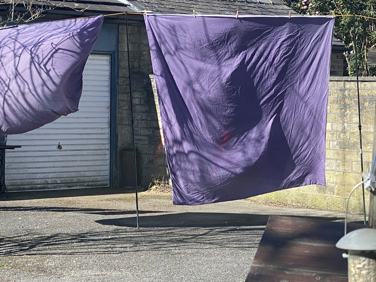 HDLettings's tweet image. Spring has finally sprung!  Alternative energy ☀️ 🌬 drying in full swing.  Can beat line dried bedding 🛏

#huddersfield #washday #linedried #solarpower #windpower #freshsmell #feelinggoodtoday