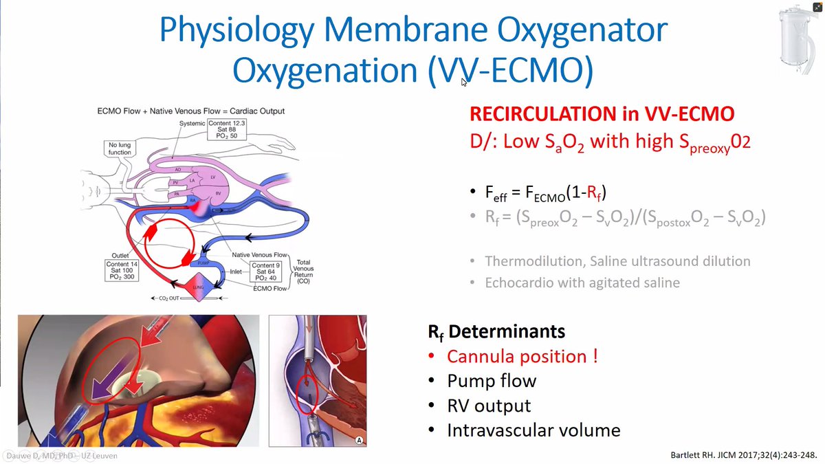 FOAMecmo tweet picture