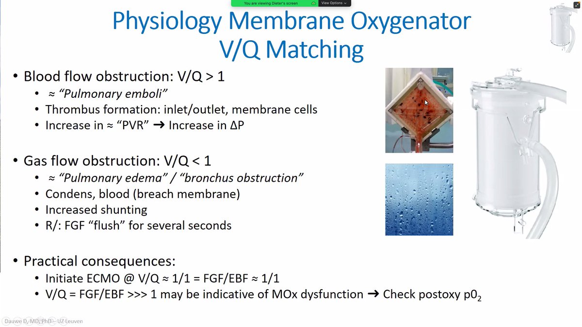 FOAMecmo's tweet photo. Gas exchange on VV #ECMO
➡️oxygenations mostly depends on EBF: consider % of VR captured by venous drainage = EBF/CO
➡️ventilation/perfusion match inside ML: ie clots/condense?
➡️recirculation fraction
➡️CO2 removal mostly depends on FGF
@DieterDauwe @EuroELSO @ESICM #ECMOmaster https://t.co/OlLD6OOTB8