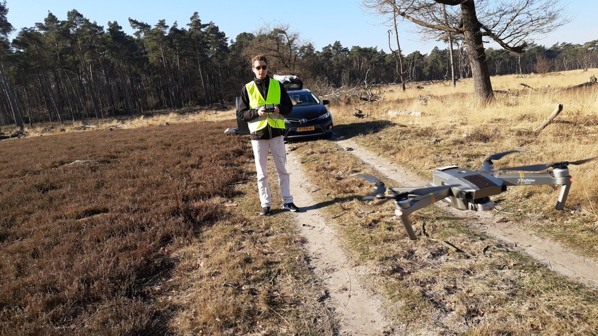 HiViewNL's tweet photo. First half of March HiView has been executing flights for @Natuurmonument at the Veluwe. #multispec images will be converted to vegetation index maps that will be used to detect the dissemination of a specific moss, #campylopus introflexus. Together with @BorgmanBeheer. https://t.co/10uuNeVCX8