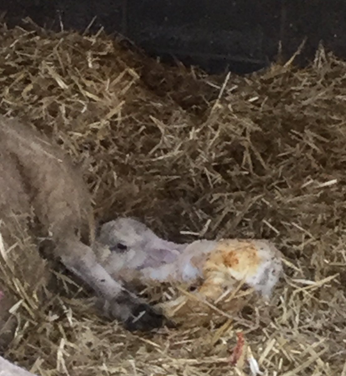 The High Weald Academy tweet media