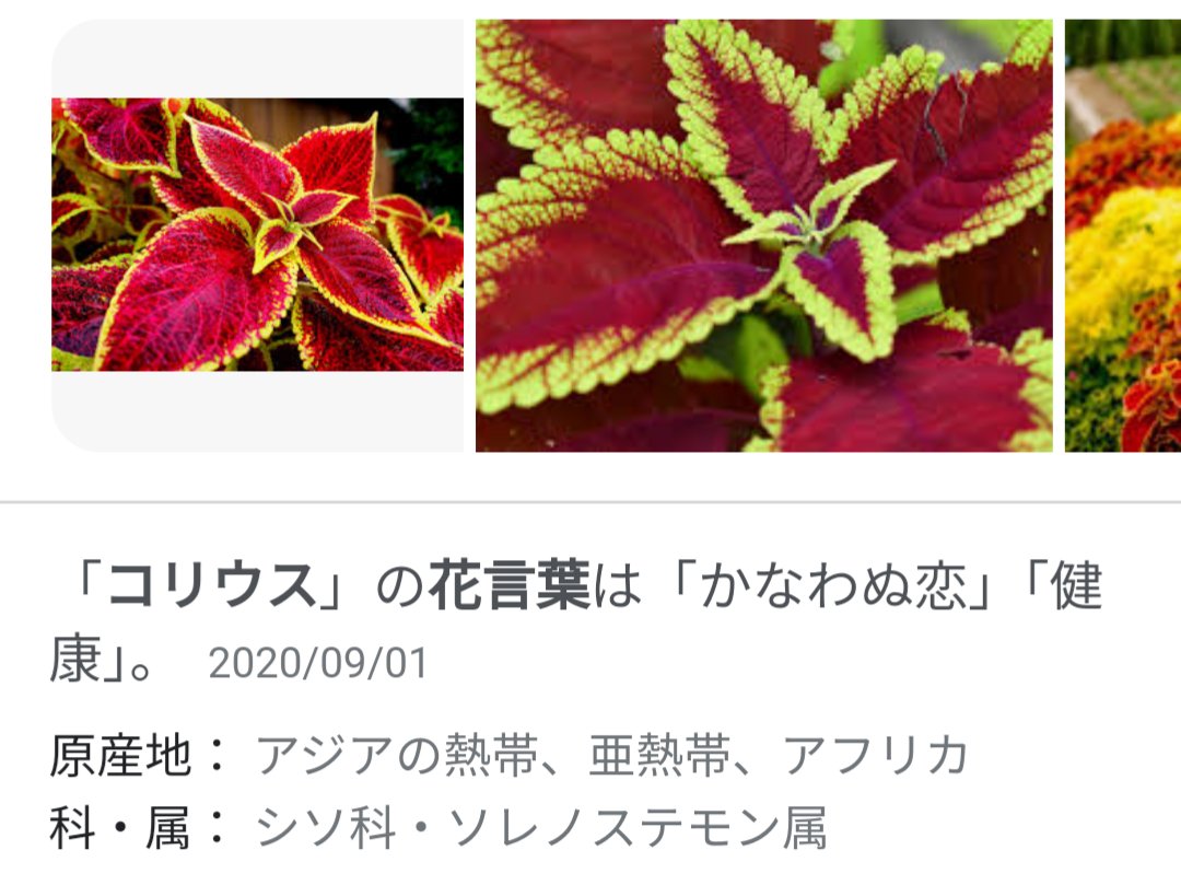 エビふらい 頭に刺さってるのこれかな カメレオン Kinggnu T Co 3rldruoamc Twitter エビふらい 頭に刺さってるのこれかな カメレオン Kinggnu T Co 3rldruoamc Twitter