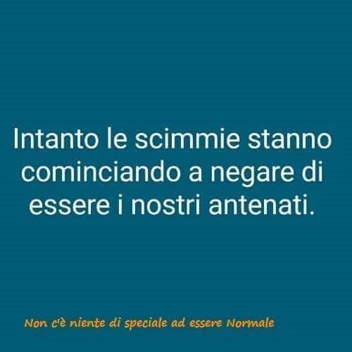 FabGiagnoni's tweet photo. Revisionismo prima(te) di tutto. 🙈🙉🙊

#DarwinAwards 
#GoGreen #GoApes #GoHomeYankees https://t.co/XwPbXyE6KX