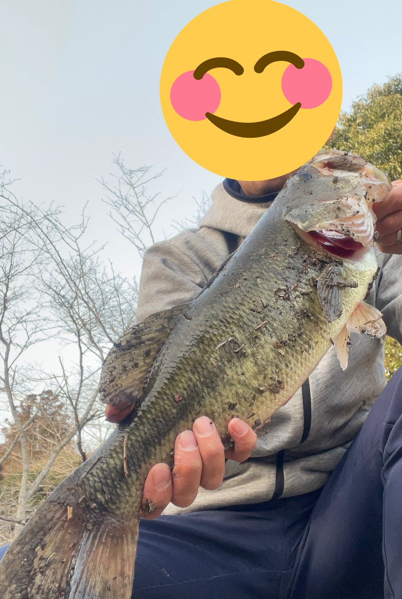 Ewwe4K's tweet photo. ルアーって1番釣れるの釣り人だよな🤔
レアなの売ってたら即買いだろ？
そのルアーが最初に釣ったのは買ったアングラー🤗🤗🤗🤗
やっと春が来たね🤫
＃バス釣りしたい https://t.co/gnwu4DSdnB