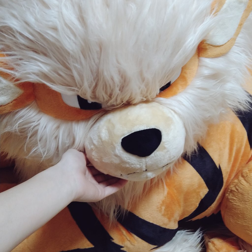 di_on's tweet photo. ウインディ
ぬいぐるみ
ありがとう https://t.co/2YYlSq5YfU