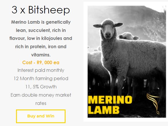 Bitfarming1's tweet photo. Stand a chance to win an Angus Cow, BitSheep and or a
Frika Token! Buy one of our packages and stand a chance to win the same. Become part of the Bitfarming family today, earn 11,5% profit on you investment and stand a chance to win! Learn more: https://t.co/e7rFcY8iSw https://t.co/FQjObuiCce