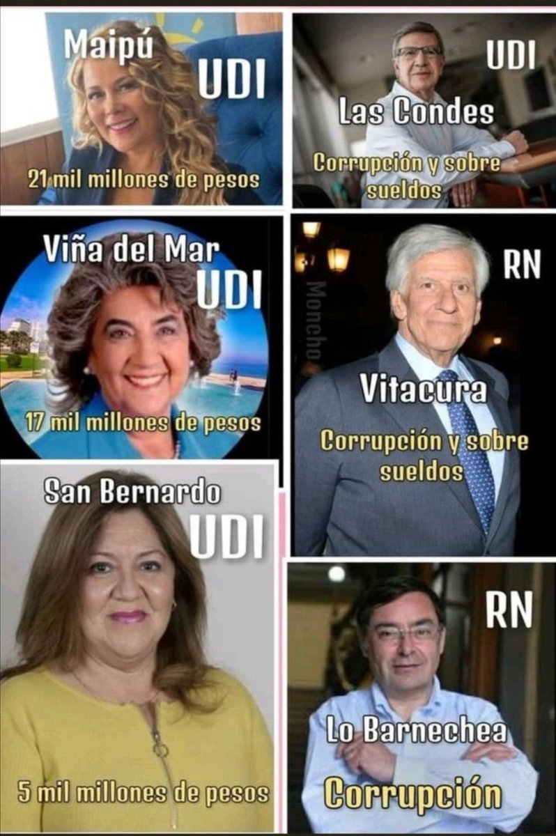 Cripto Social Club tweet media