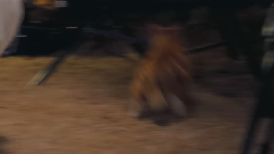 this photo sequence 😭