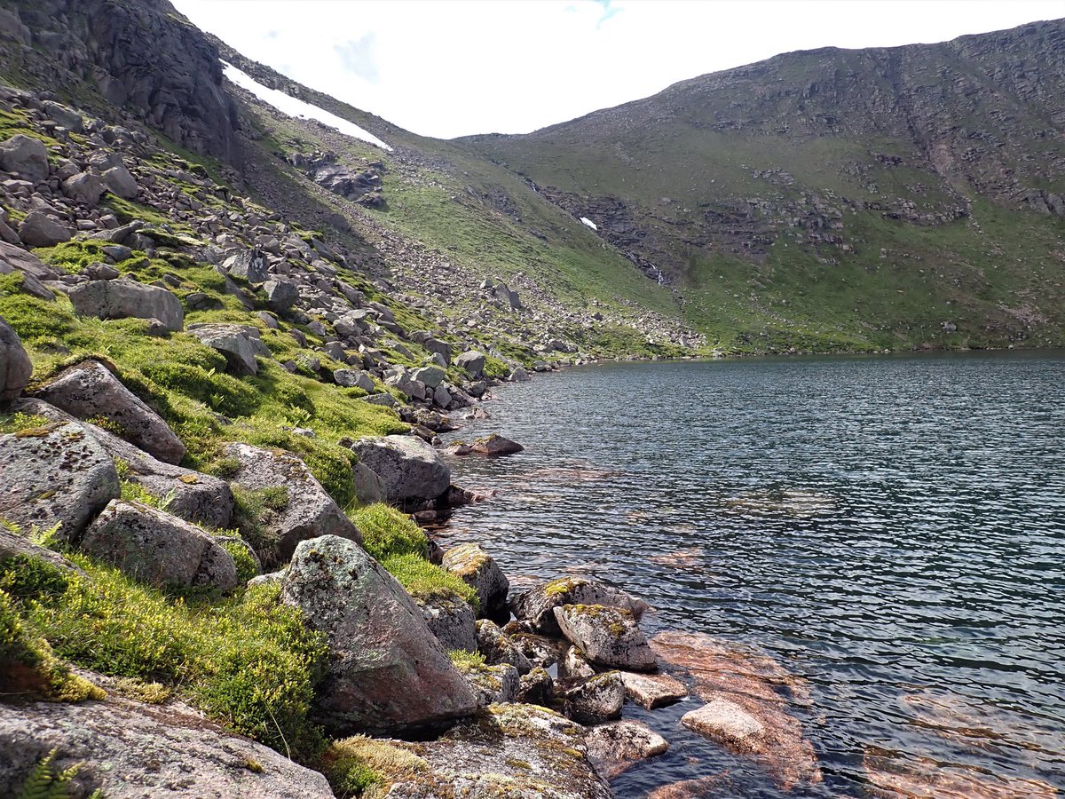 Our speaker this Wednesday (16th March) is Iain MacGowan <a href="/imag15621152/">o</a> (National Museums Scotland) who will be presenting the following talk on “Montane and Pinewood Diptera”. This meeting will be held on zoom at 5pm 🐞🦟🐛🪰