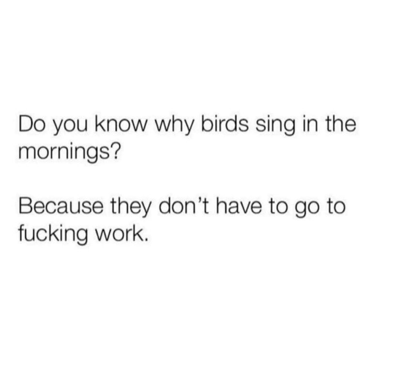 So I genuinely like my work (though I’m pretty sure I could also amuse myself full time) but this is funny and apt for a Monday morning #keepsinging