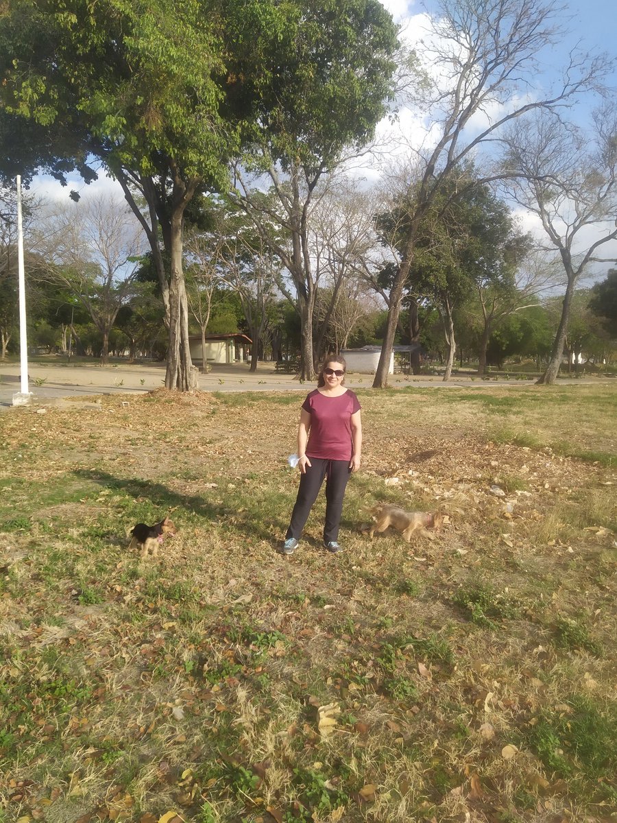 NELKA372's tweet photo. #ParqueCodazzi en La Encrucijada , está abierto al público. @elsiglocomve @Elperiodiquito @victoria1039fm @VecinosCagua @unionCagua @lavozdeturmero @vivoenturmero https://t.co/wLKjE9Hl3y