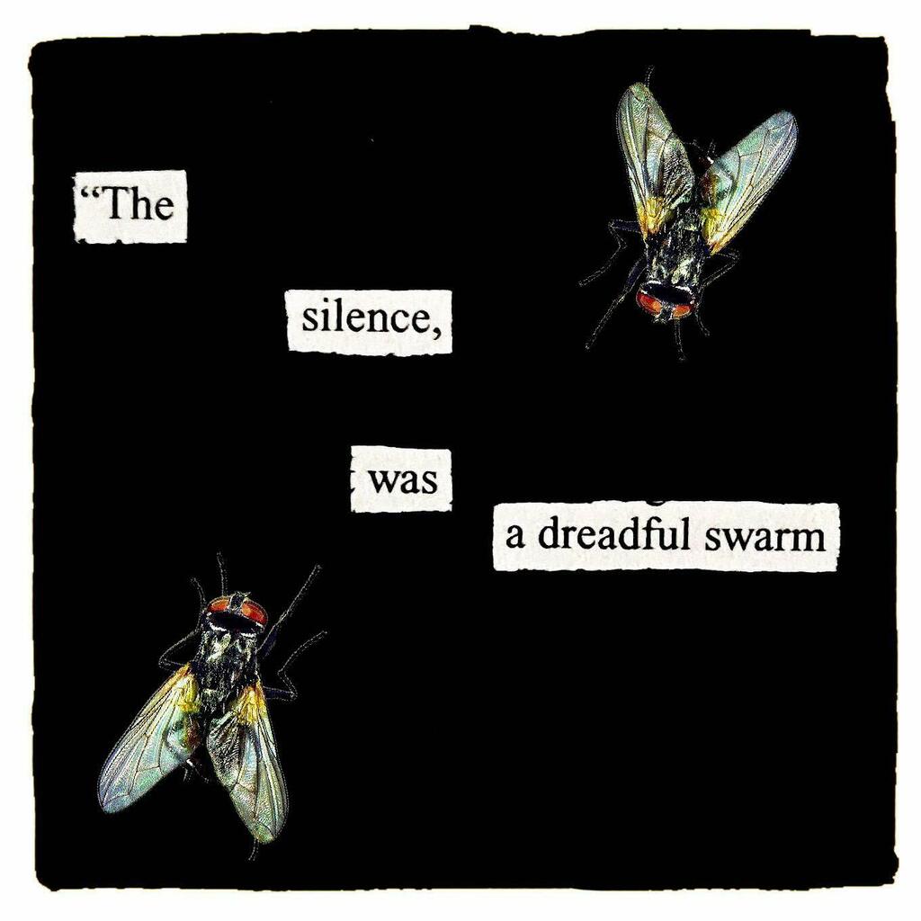 fade_blackout's tweet photo. The silence was a dreadful swarm 🪰🪰🪰🪰

#monday #repost 

#blackoutpoetry #foundpoetry #erasurepoetry #makeblackoutpoetry #poetry #poetrycommunity #poetsofig #micropoetry #visualpoetry #poetryisnotdead #spilledink #words #art #makeart #mentalhealthawa… https://t.co/T1We0sy5IG https://t.co/DYumUoZdV5