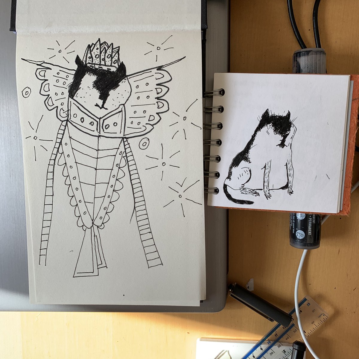 _timreedy's tweet photo. Another #preparatorystudy of a cat for my new #littlefreelibrary #freehanddrawing #penandinkdrawing #penandinkart #penandinksketchbook https://t.co/GIKM1oirel