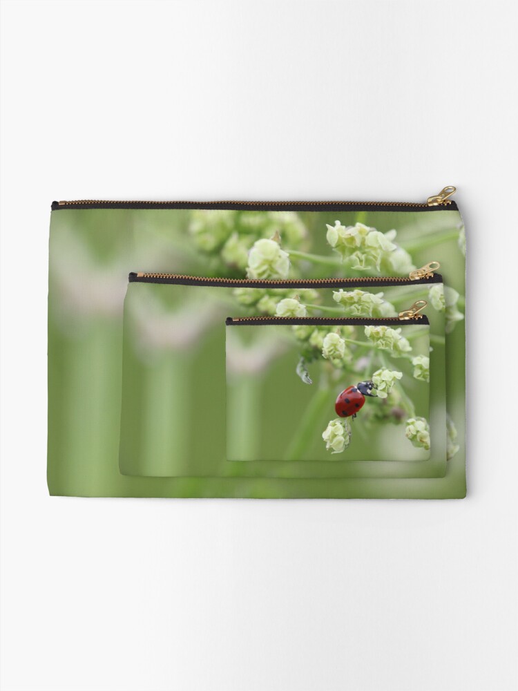 MaureenMeer's tweet photo. Lovely Ladybug 💕📸
Click on the link to see more: https://t.co/WY4cnDPchy

#Ladybug #beautiful #photography #gift #MothersDaygifts #apron #Mugs #homedecor #redbubbleshop https://t.co/dKDivdw3H9