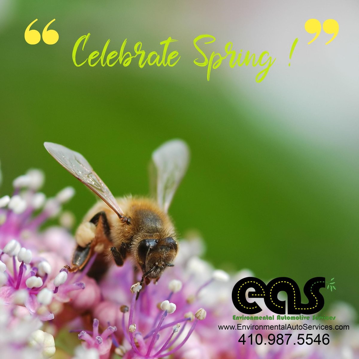 EASAUTO's tweet photo. Time to celebrate Spring!  Pollen is in the air - don't forget to change your cabin air filter.

We just can't get enough of these gorgeous sunny days. Hope you're enjoying the warmer days too.

#celebratespring #autorepair #freshair #sunshine #airfilter #pollen #millersville https://t.co/HNlFbCH9VO