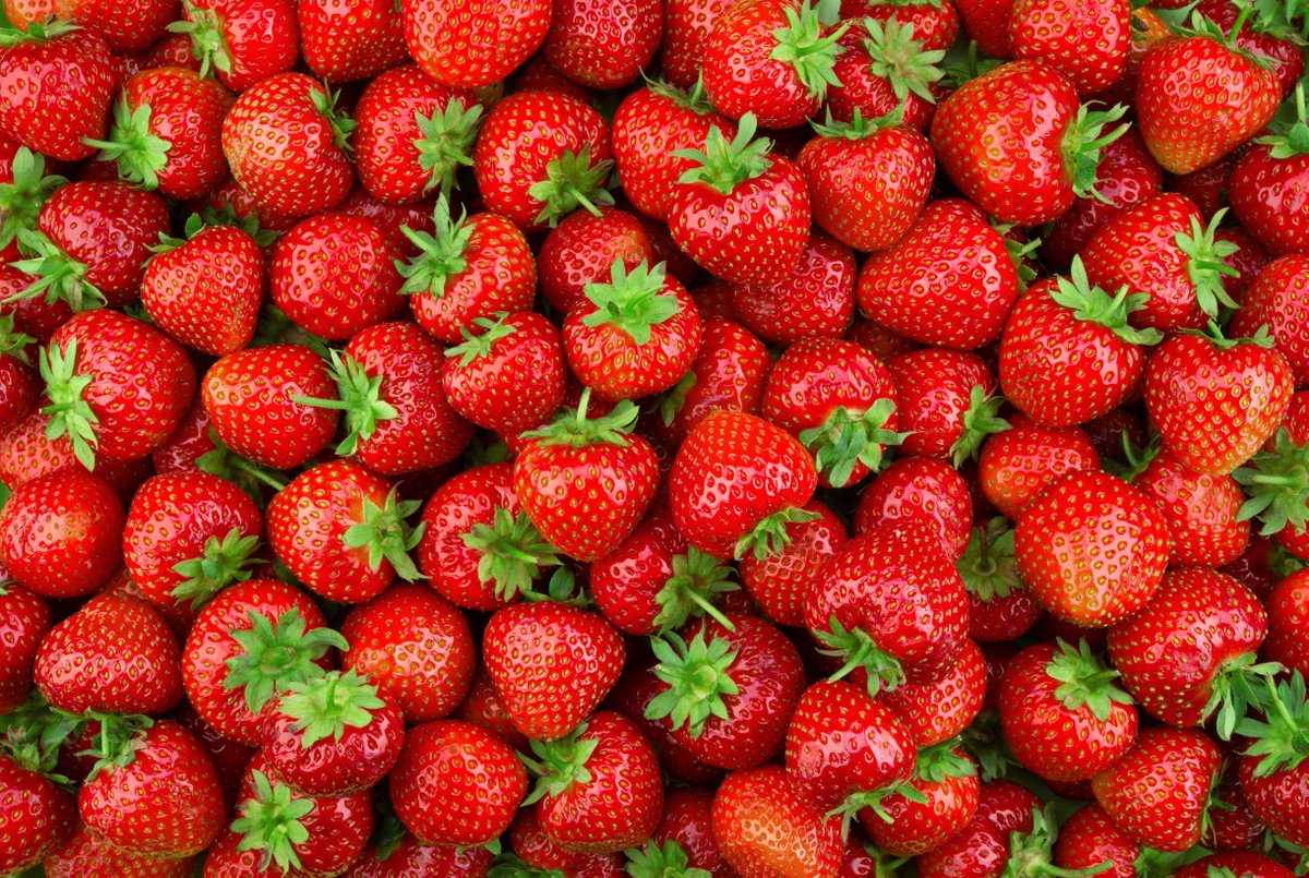 AngusFruit's tweet photo. Strawberries also provide vitamin K, manganese, folic acid, potassium, riboflavin, vitamin B5, B6, copper, magnesium, fibre and phytonutrients so make the perfect healthy snack.
#AngusTradingTeam #AngusSelect #GoodNatured #TheBerrySpecialists #Strawberries https://t.co/Jor7OXUtSJ