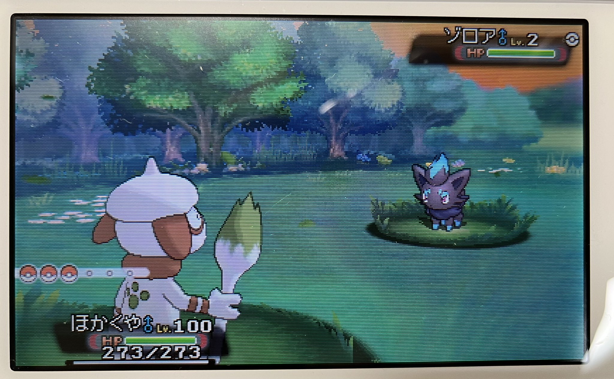 エーフィのガーネット Gane Espeon Twitter