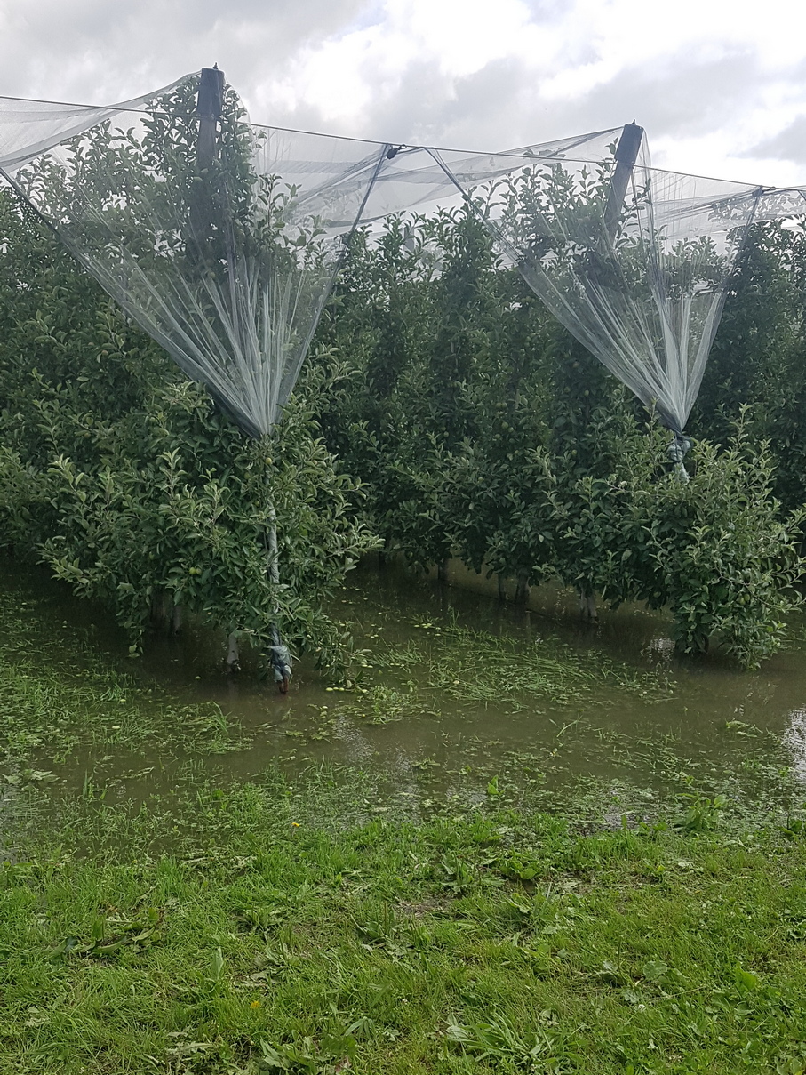 on Twitter "22 March 2022, from 1700 to 1930, a webinar