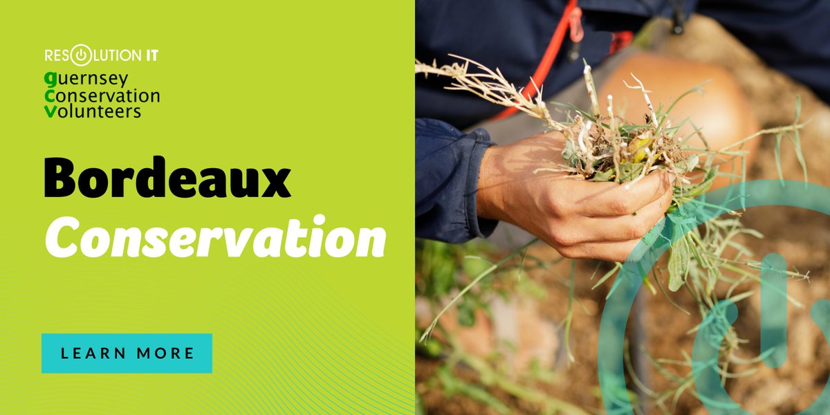resolutionitgsy's tweet image. Come and get stuck in with the next bramble clearing at Bordeaux woodland with Guernsey Conservation Volunteers and Resolution IT!

📅 Saturday 19th March
⏰ 10am at Bordeaux carpark
🥐 Pastries provided!

bit.ly/3tYTAW5 
#ResolutionIT #GuernseyConservationVolunteers