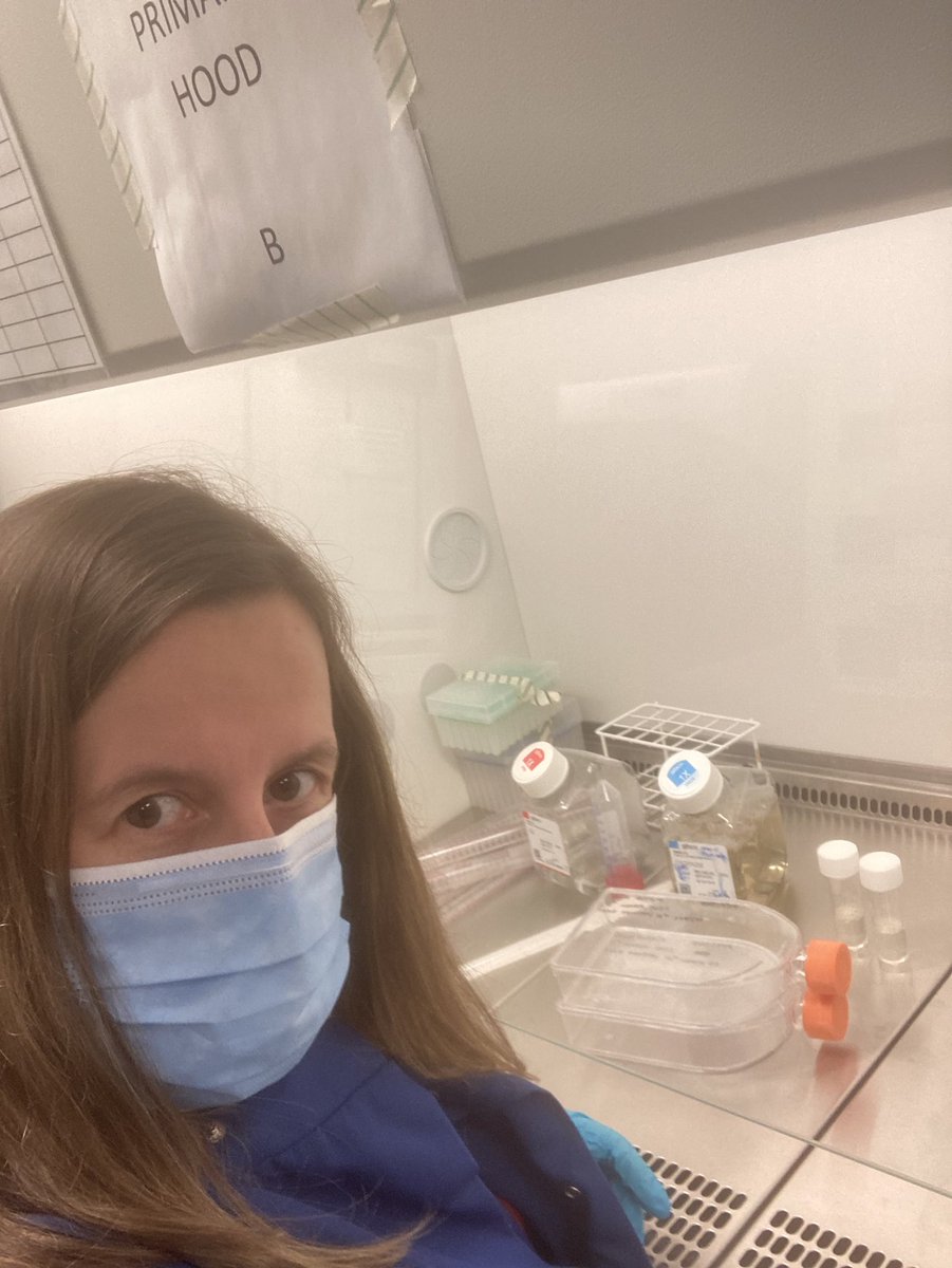 Work Research group (@teamworkstroke) on Twitter photo In a rare sighting, the PI was spotted in the lab today, outside her now normal native environment. Lab coat fitted, she remembered how to use a bibbyjet + do cell culture 💪 Let’s hope no cells were harmed in this brief encounter (<a href="/ZachBlaikie/">Zach Blaikie</a>). Normal service is now resumed 🙄 In a rare sighting, the PI was spotted in the lab today, outside her now normal native environment. Lab coat fitted, she remembered how to use a bibbyjet + do cell culture 💪 Let’s hope no cells were harmed in this brief encounter (<a href="/ZachBlaikie/">Zach Blaikie</a>). Normal service is now resumed 🙄