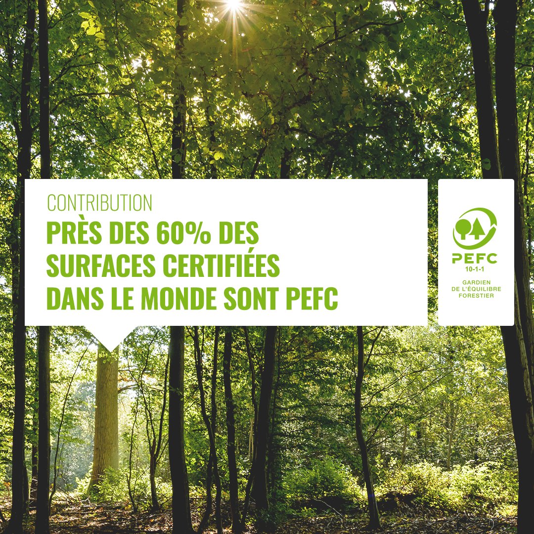 PEFCFrance's tweet photo. [#LundiContribution] PEFC est une certification internationalel ! Près des 60% des surfaces certifiées dans le monde sont #PEFC. 
Plus d'infos. 👇 https://t.co/5hbqxrCMhq #Forêt #Bois #RSE https://t.co/iTmTtx91G6