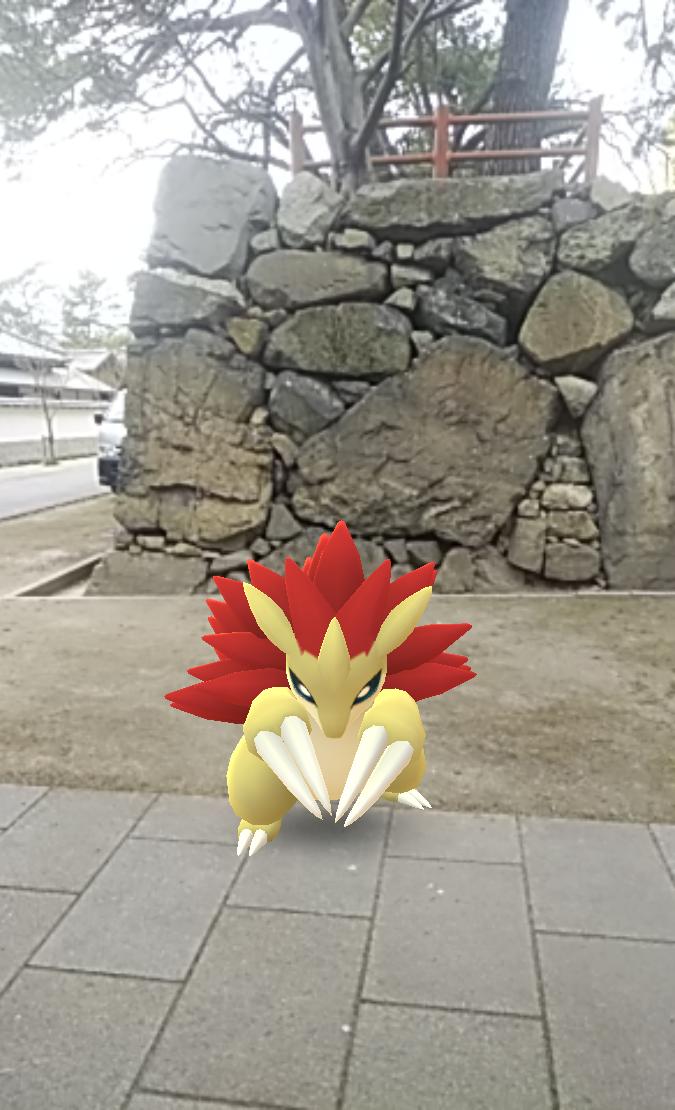 アローラサンドパン Twitter Search Twitter