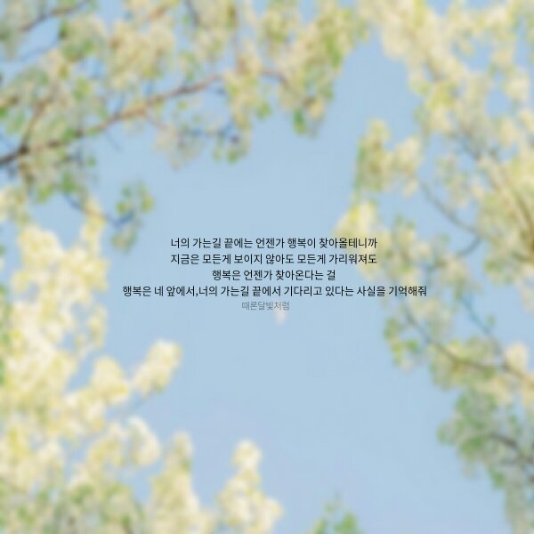 너의 가는 길 끝.
#글귀 #좋은글 #예쁜글 #감동글