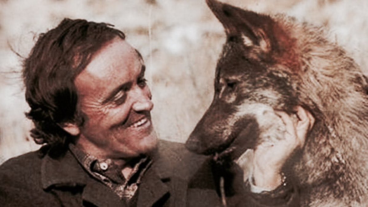 Hoy hace 42 años que nos dejó el gran Félix Rodríguez de la Fuente, el hombre que nos enseñó a amar a los animales y a la naturaleza. Estos eran los influencers de nuestra generación. Nunca te olvidaremos.