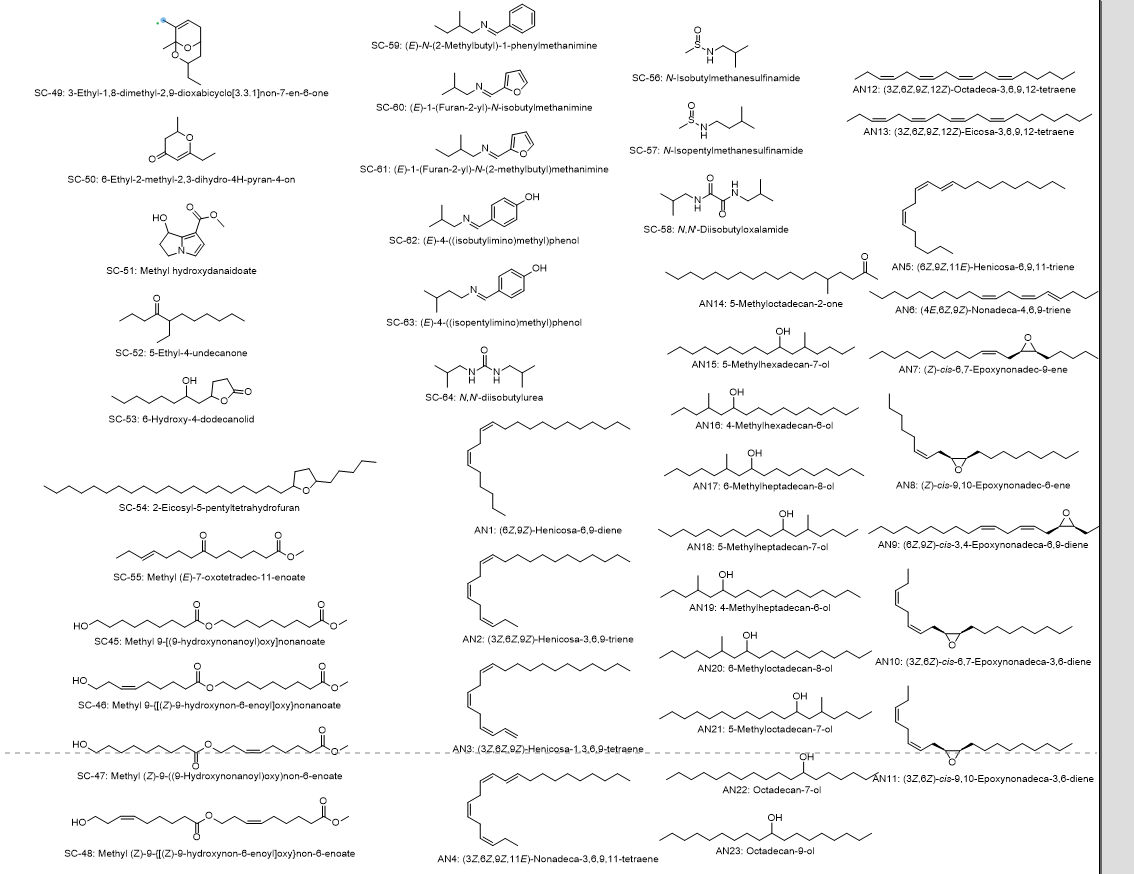 SchulzLab tweet media