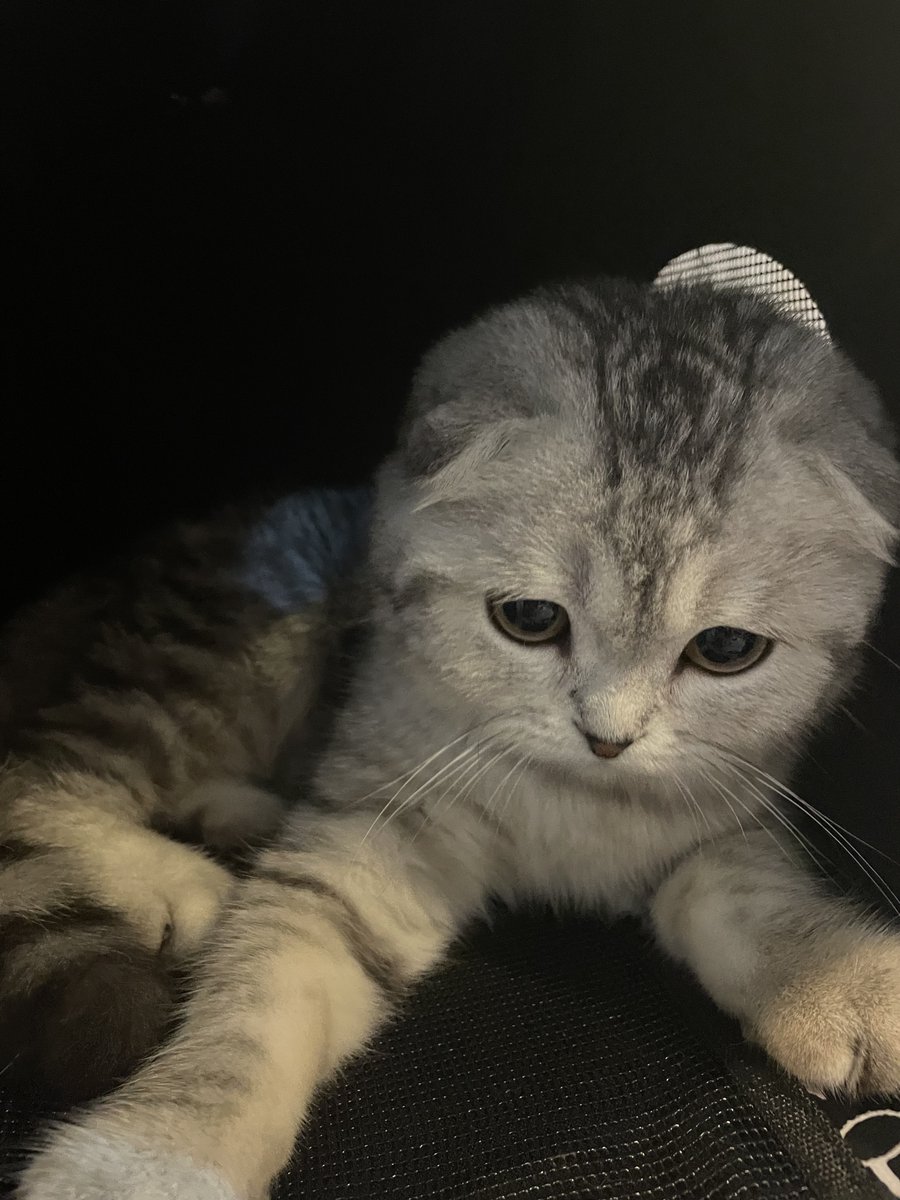 อุนลุดค้า เร่เข้ามาๆๆๆๆ ต่อคิวที่หนุได้เนย เดี๋ยวหนุแจกบัตรคิวให้