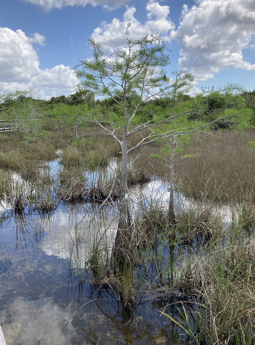 Em Waters tweet media