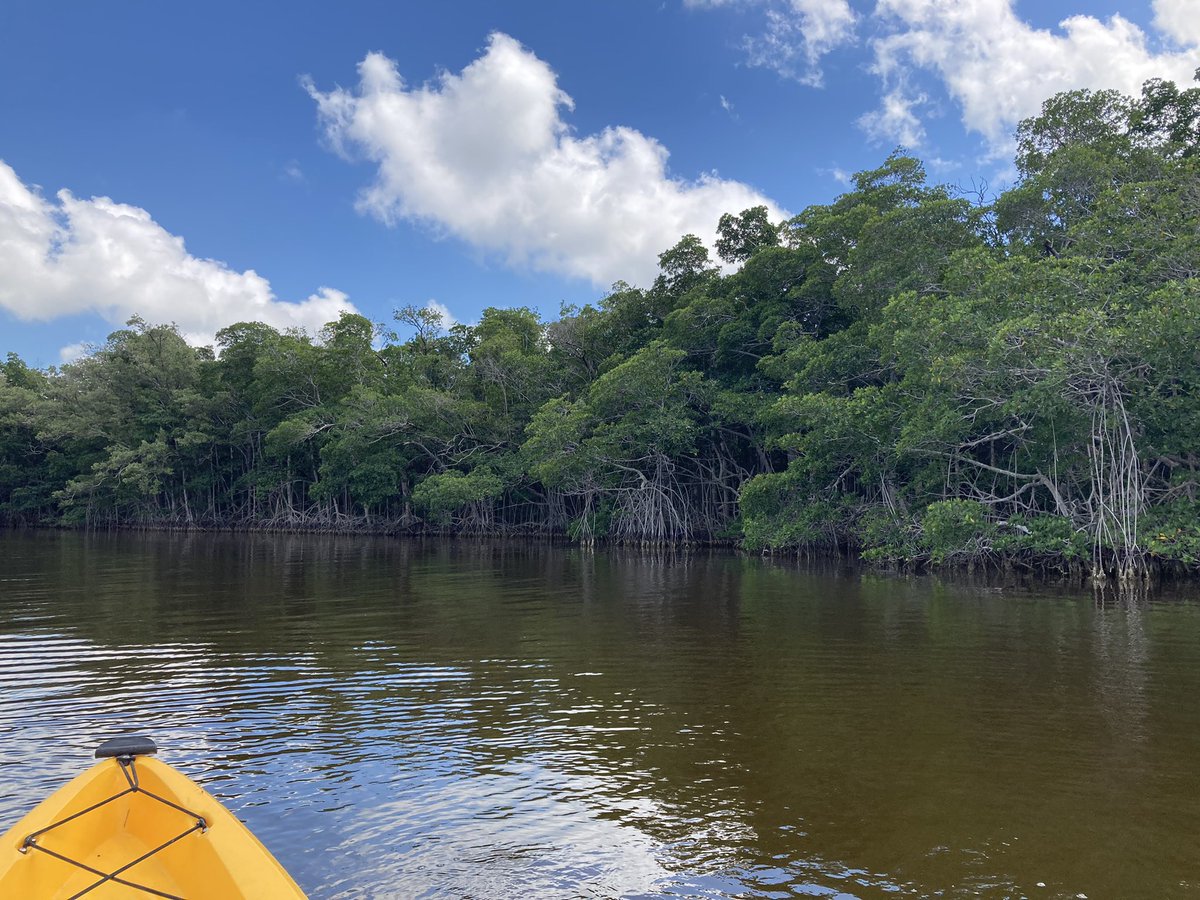 Em Waters tweet media