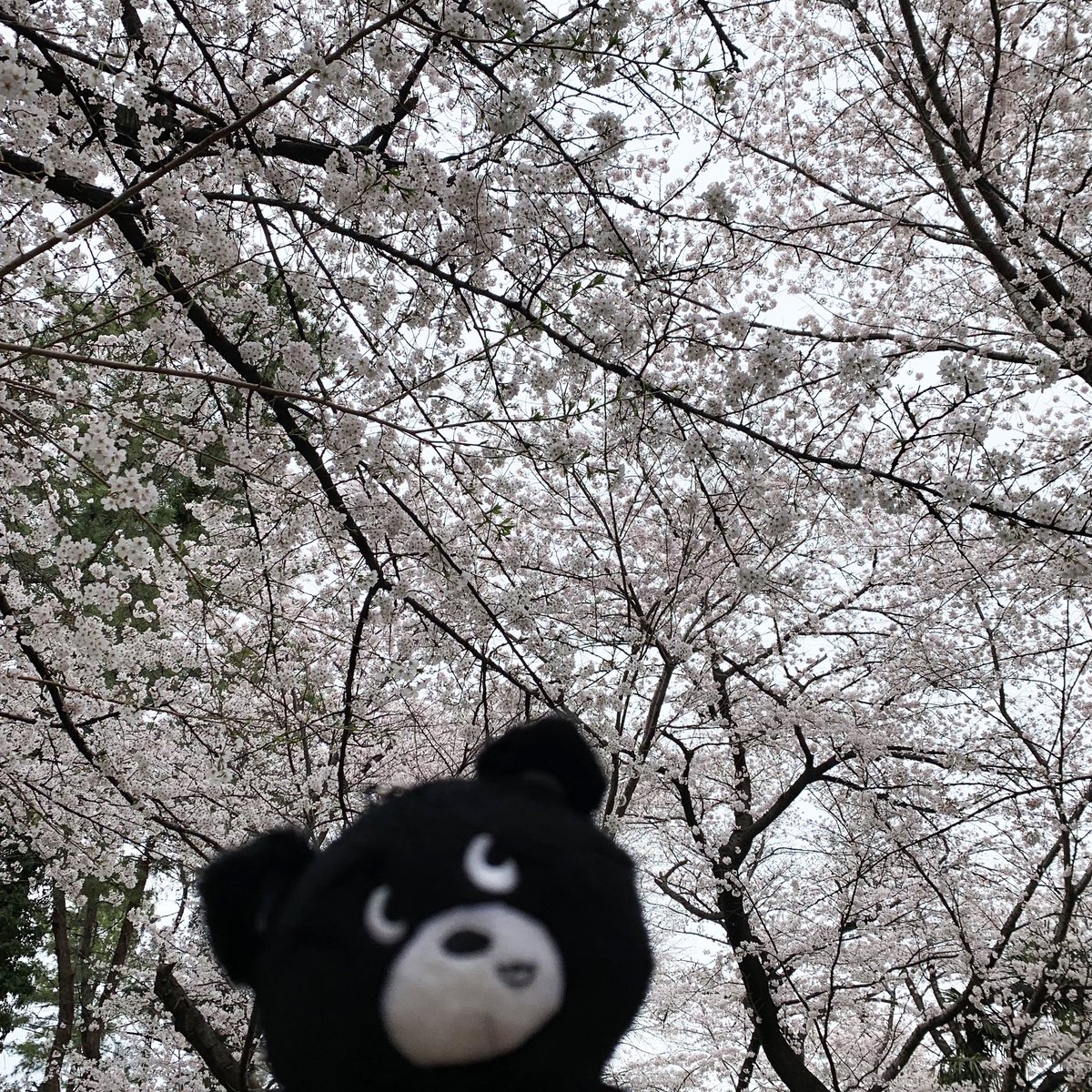 MDY LLC.（エムディーワイ） (@LlcMdy) / X