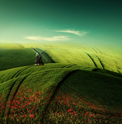 ℒ𝑒𝓎𝓁𝒶🌱 互FO 🫆 tweet media