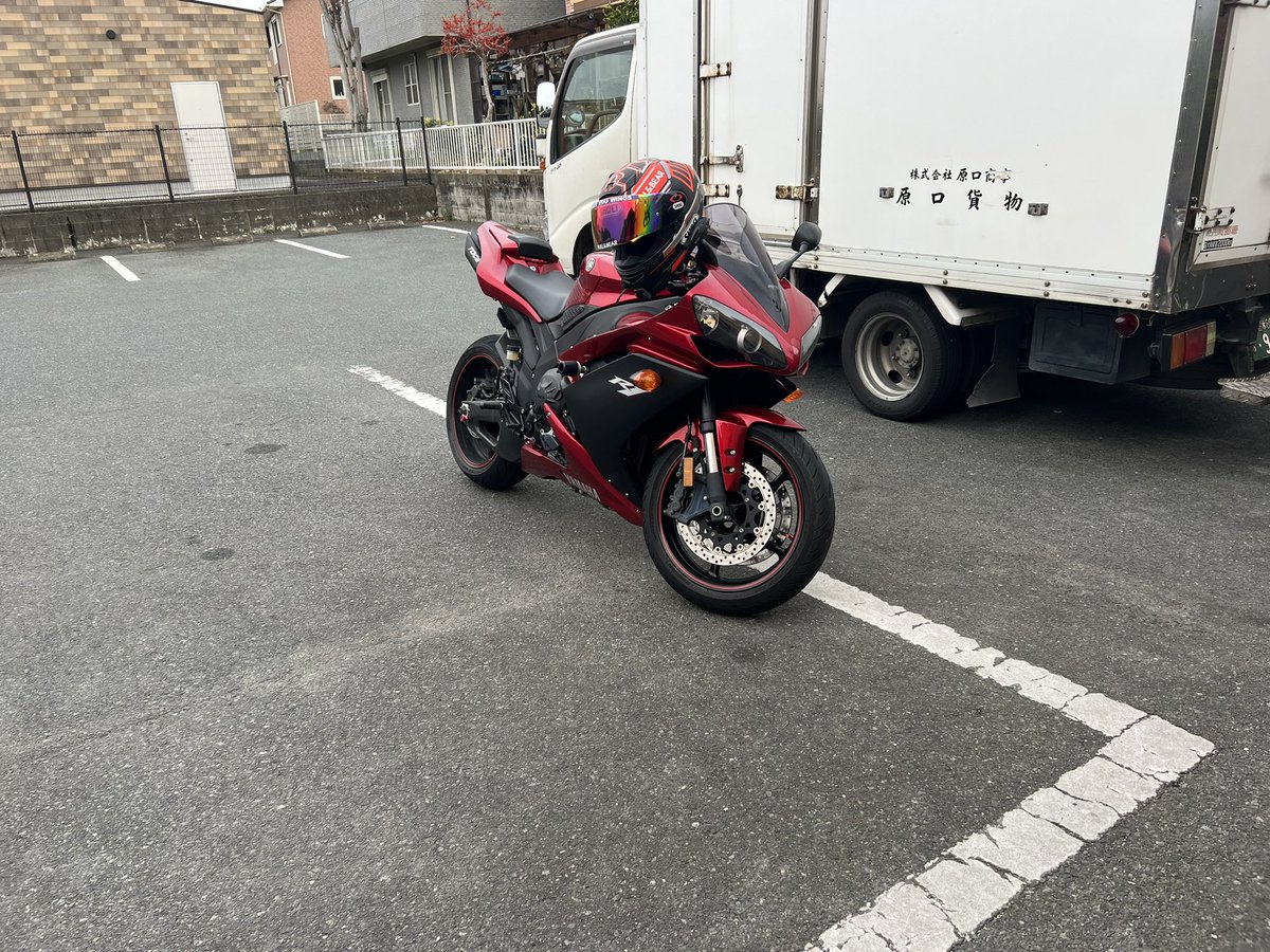 niratamaR1's tweet photo. ご無沙汰です🥺
生きてます、にら玉動きます😏 https://t.co/fyMrlZzaOn