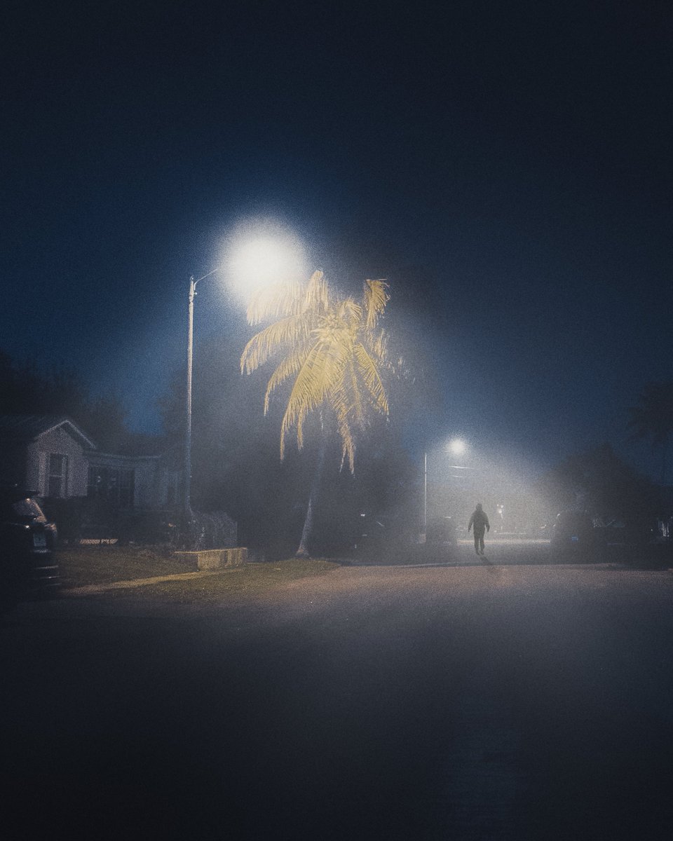 My second sighting of Florida man. Excited to capture more.