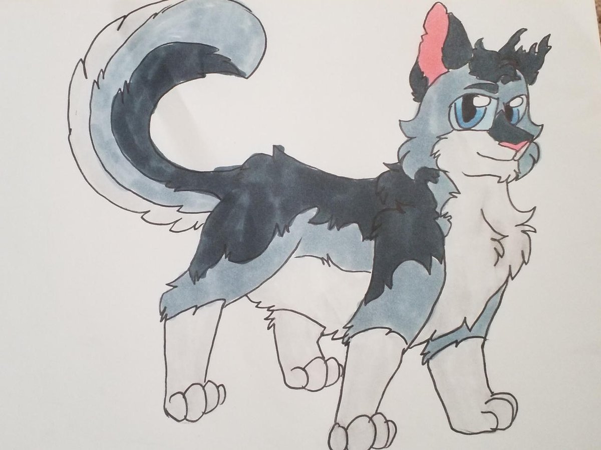 Kattren055's tweet photo. Bluestar's Kits
#warriorcats #mistyfoot #mistystar #stonefur #mosskit https://t.co/xJioDjn5GM