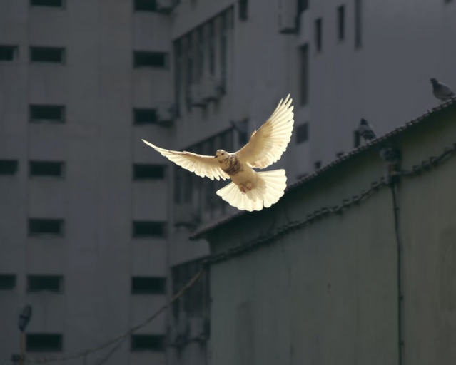 Rezar.com (Fundación Canónica May Feelings) tweet media